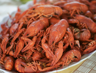 Lots of fresh hot crawfish, appetizer attache.