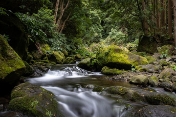 Fototapeta na wymiar Beautiful stream on the hike to Salto do Prego near Faial de Terra, Sao Miguel, Azores Islands, Portugal