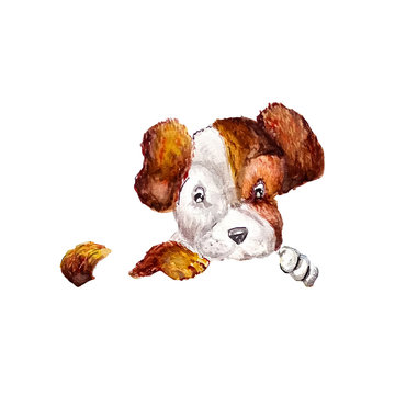 Cute Puppy Jack Russell Terrier Hanging Their Paws Over On Invisible Fence Or Place For Design. Dog With Adorable Muzzle Puppy With Empty Board On A White Background. Watercolor Style, Isolated.