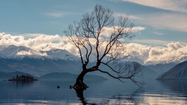 Lake Wanaka Solo Tree Sunset Cloud Time Lapse Snowy Mountains Ducks