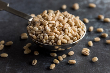 Whole Grain Milling Barley on a Tablespoon