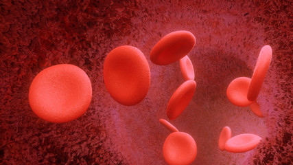 Blood cells flying through arteries or viens