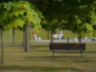 Fototapeta premium kids in the park
