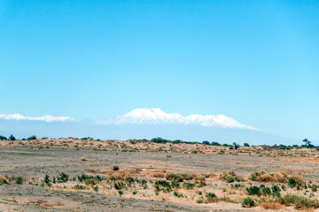 Blurred background of Atacama Desert landscape with snow-capped Andean volcanos, salt flat and some vegetation on horizon, Chile