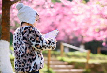 Asian child tourists holding a map in the park full of cherry blossoms