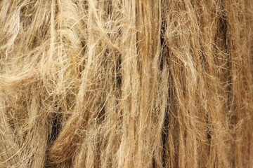 Vertical flax fibers, production of linen fabrics - texture for the background