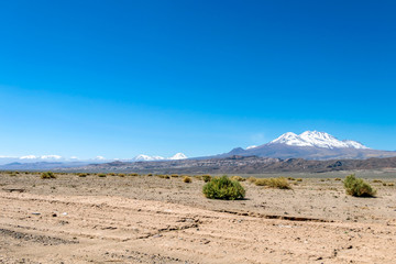 Blurred background of Atacama Desert landscape with snow-capped Andean volcanos, salt flat and some vegetation on horizon, Chile
