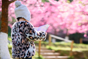 Asian child tourists holding a map in the park full of cherry blossoms