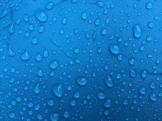 The rain water is on a blue umbrella, close to the shoots. 