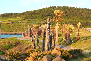 제주에 있는 "서우봉 해변"의 풍경이다.