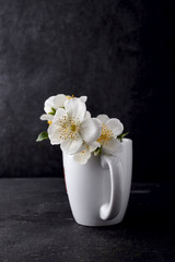 Jasmine flowers in  the white cup  on a black background. Herbal medicine