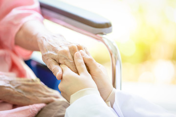 Closeup of hand medical female doctor or nurse holding senior patient hands and comforting her,.Caring caregiver woman supporting disabled elderly people on wheelchair in park,help,health care concept