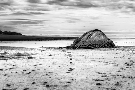 Footsteps, Newburgh on Ythan.