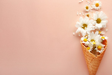 Composition with waffle cone and beautiful flowers on color background
