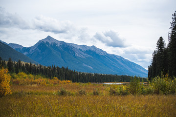 Fototapeta na wymiar Mountain range in Canada