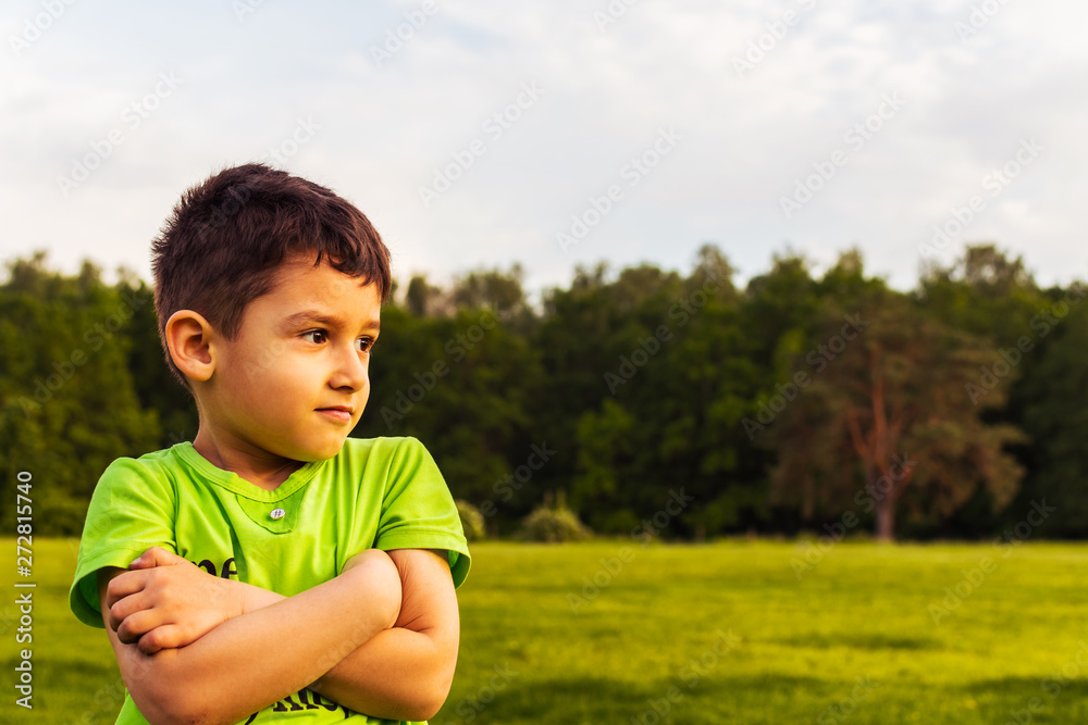 Wall mural portrait of a boy 5 years on the background of the field