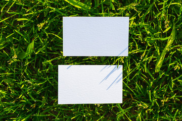 2 blank business cards lying on the grass