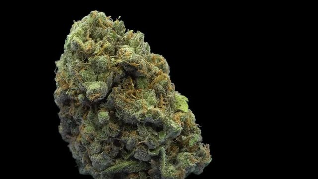 Cannabis, Powerplant, Dynamite, Rotate, Strain Bud