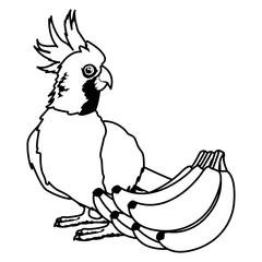 parrot wild cockatoo icon cartoon in black and white