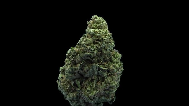 Cannabis, Special, Big Buddha Cheese, Rotate, Strain Bud