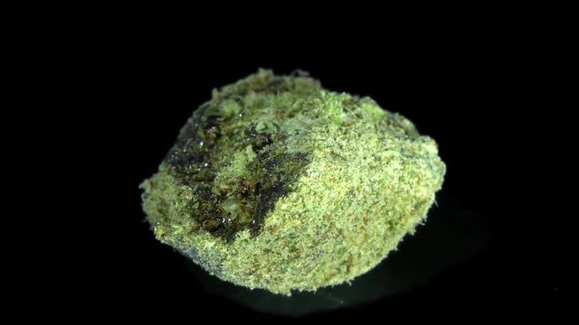 Cannabis, Special, Moonrock, Rotate, Strain Bud