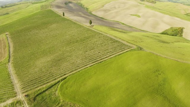 Val d'Orcia in Toscana, le bellissime distese collinari di erba e grano con vista aerea dal drone.
