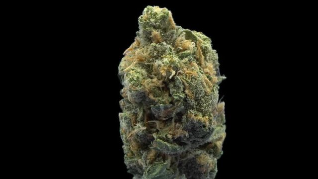 Cannabis, Silver Bubble, Rotate, Strain Bud