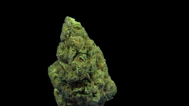 Cannabis, USA Weed, Ice Cream Cake, Rotate, Strain Bud