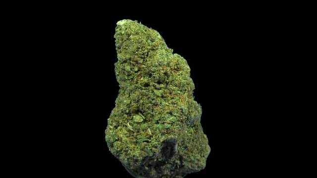 Cannabis, USA Weed, Zookies, Rotate, Strain Bud
