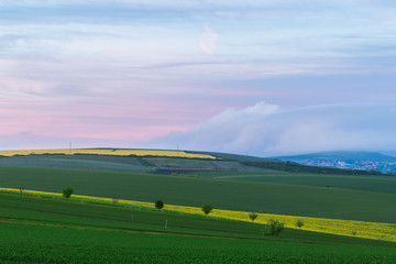 Blue hour. Colorful landscape of yellow green fields and trees under the blue pink sky befor sunset.