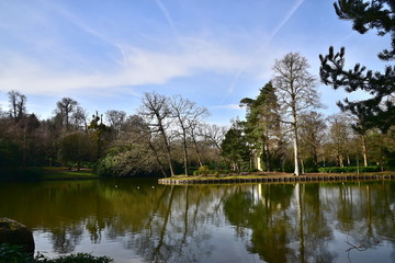 Tranquil scene of a lake and trees on a brisk, sunny autumn day.