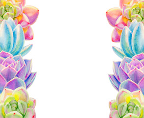 Beautiful colorful succulent frame.  Decorative plants. Floral print. Marker drawing. Watercolor painting. Beautiful houseplants. Greeting card. Flower painted background. Hand drawn illustration.