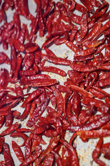 Dried red pepper. National food of Sri Lanka and India. Sale of pepper and spices. Stock photo