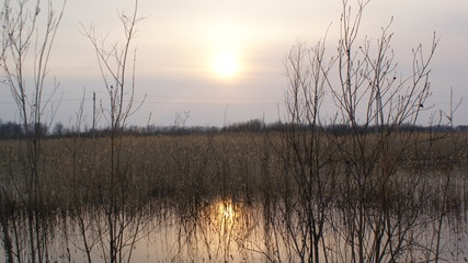 Langepas. Sunset on the lake.