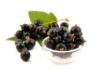 Black currant with leaves on white background. Fresh berries of currant.   