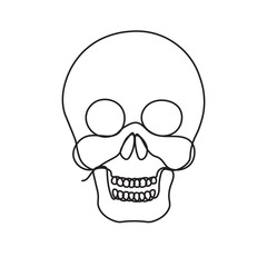 human skull continuous single line style