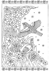 Coloring with bird in colors, zentangle illustration for kids and adults coloring book or tattoo with high detail isolated on white background. Summer cute monochrome illustration. Black and white vec