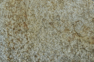 Surface of a Rock