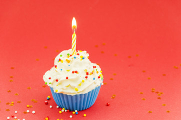 Birthday cupcake with candle