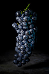 Berries of dark bunch of grape in low light levitation on dark background
