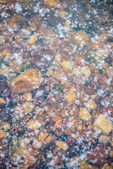 ground soil texture with tree roots and old vegetation leftovers