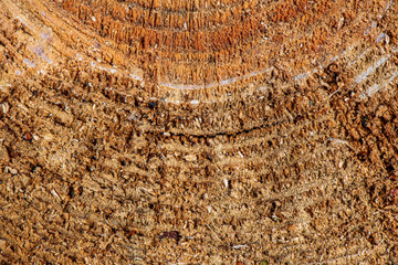 Fototapeta premium pile of fireplace log wood in open air