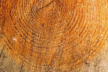 Fototapeta premium pile of fireplace log wood in open air