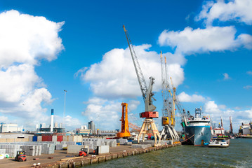 Fototapeta premium Rotterdam port, the biggerst port in the Europe