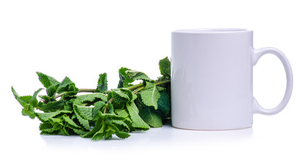 Cup with fresh green mint on white background isolation