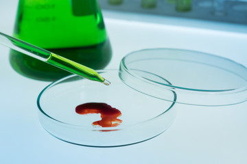 Pipettes take samples into the petri dishes have blood.