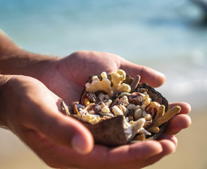 Variety of oceanic and seashells on the hand in the rays of the sun. Summer background for design. Stock photo