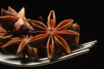 Illicium verum ft8105_7516