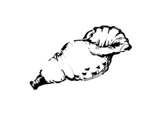 線画　モノクロ　白黒　法螺貝, ホラガイ, ほら貝, ホラ貝, 貝, 巻貝, 巻き貝, 海, 呼ぶ,
