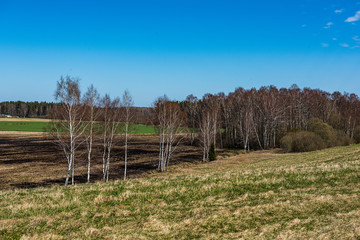 Fototapeta premium empty countryside life landscape in late autumn